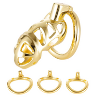 Cage de Chasteté Métal de Luxe