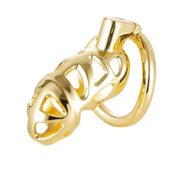 Cage de Chasteté Métal de Luxe