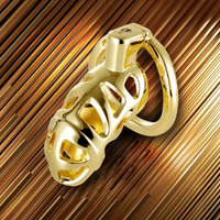 Cage de Chasteté Métal de Luxe
