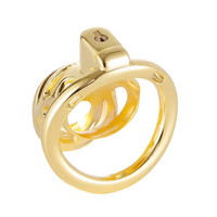 Cage de Chasteté Métal de Luxe