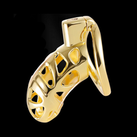 Cage de Chasteté Métal de Luxe