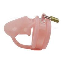 cage de chasteté prince albert rose