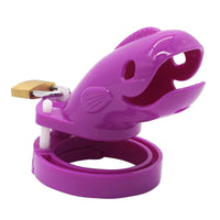 cage de chastete plastique homme violet