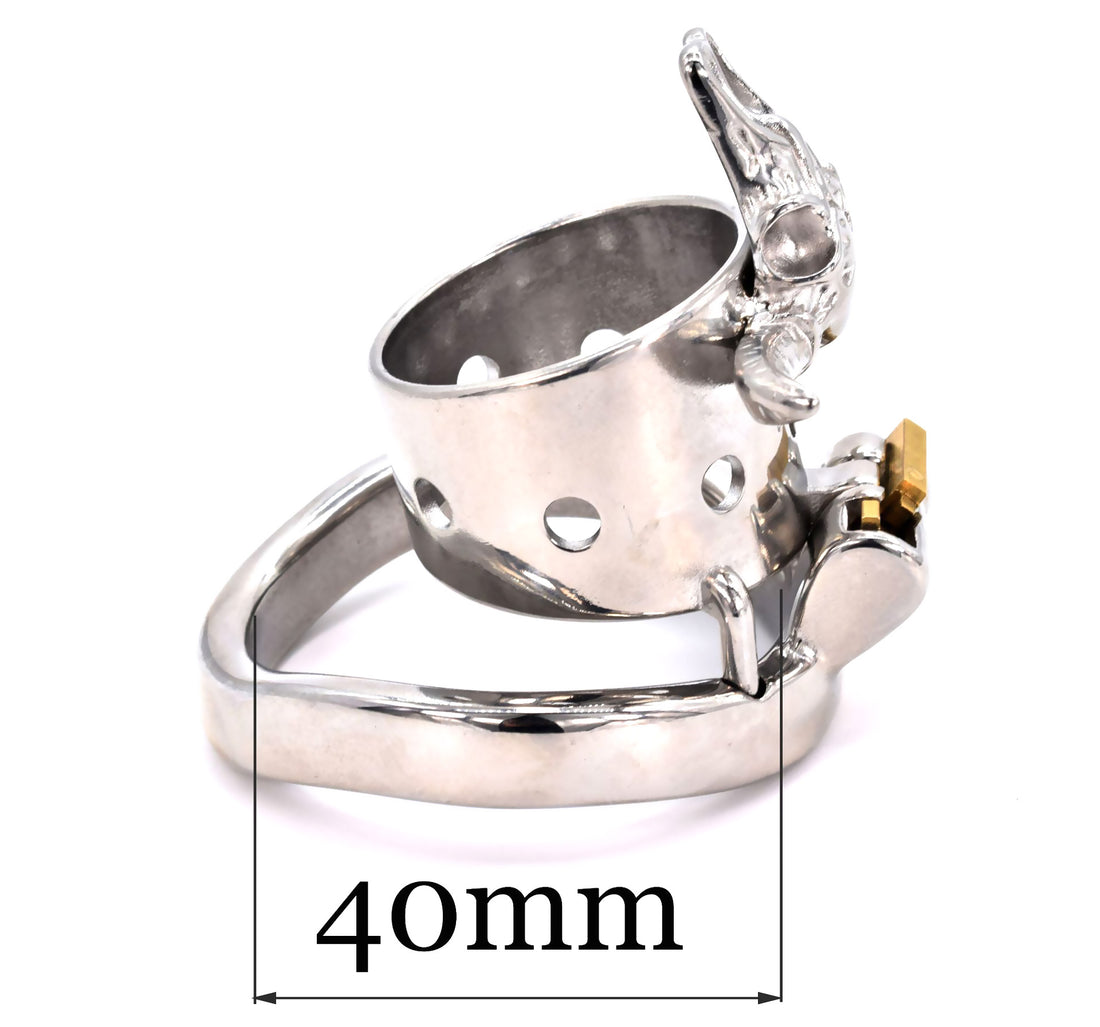 Cage de chasteté Métal  Anneau anti-érection  pour diamètre de 4 à 5 cm