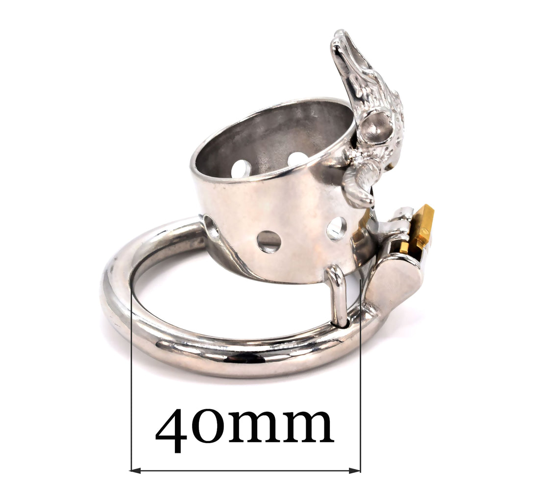 Cage de chasteté Métal  Anneau anti-érection  pour diamètre de 4 à 5 cm