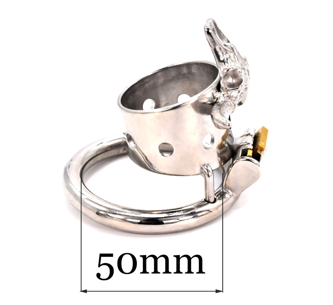 Cage de chasteté Métal  Anneau anti-érection  pour diamètre de 4 à 5 cm