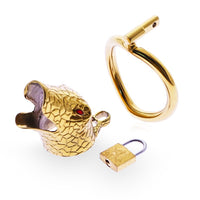 cage de chastete cobra anneau