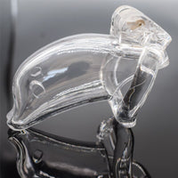 cage plastique dauphin