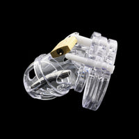 cage chastete mini uretre