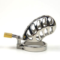cage de chasteté barreaux acier