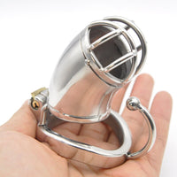 cage chastete oiseau anneau