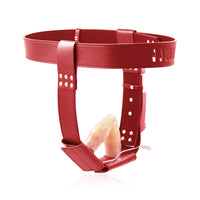 Ceinture de Chasteté Femme Double Pénétration