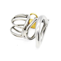 cage pénienne masculine