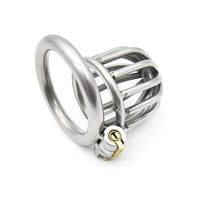 mini cage de chastete metal anneau