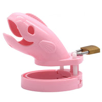 cage de chastete plastique homme