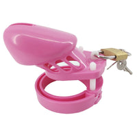 Cage de chasteté CB-600 m
